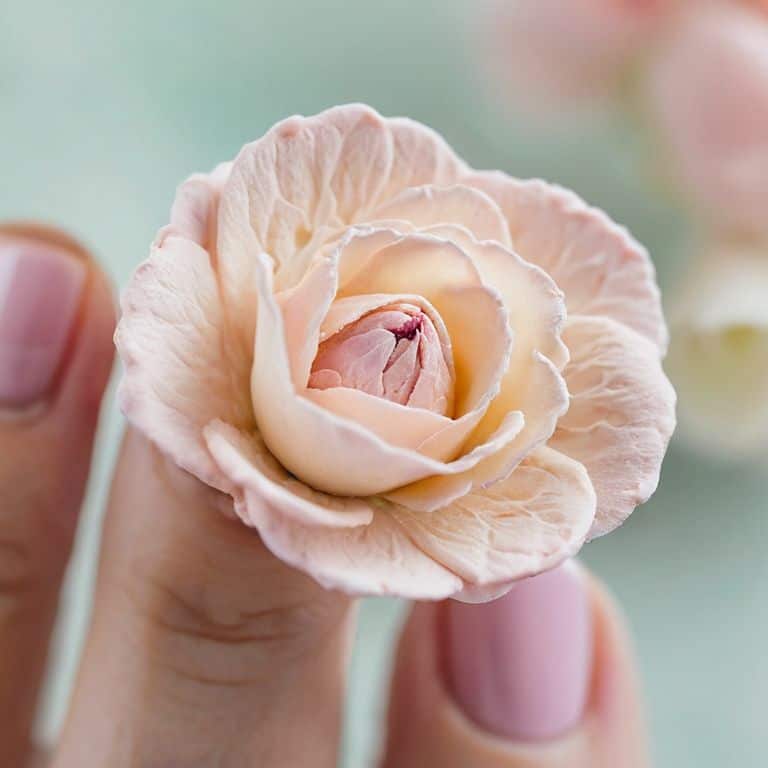 Buttercream flowers tutorial